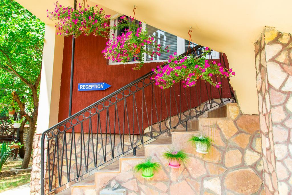 The Comfy Hostel Üsküp Dış mekan fotoğraf
